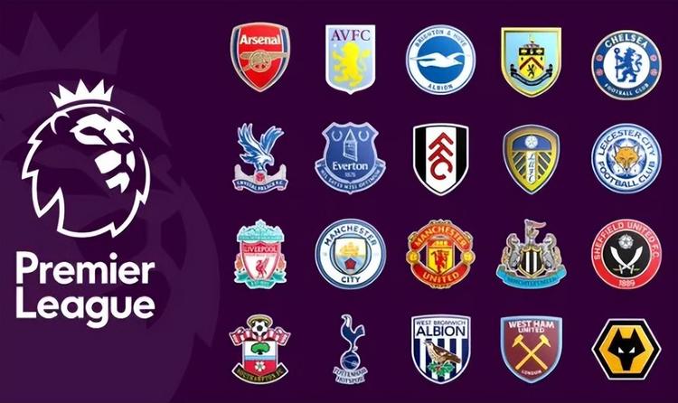 案例对照 案例对照